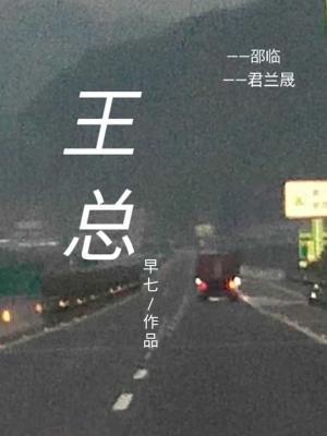 王总