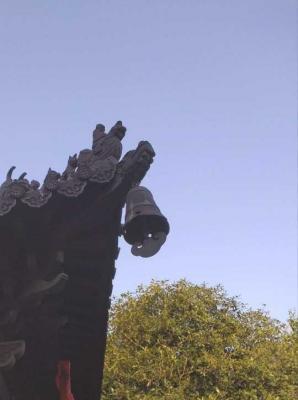 踏雪寻梅