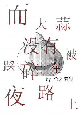 而大蒜没有被踩碎在夜路上作品封面