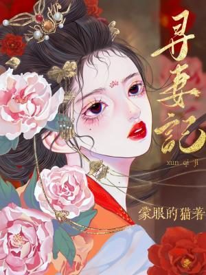 寻妻记作品封面