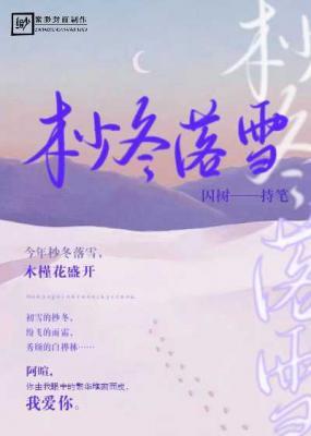 杪冬落雪作品封面