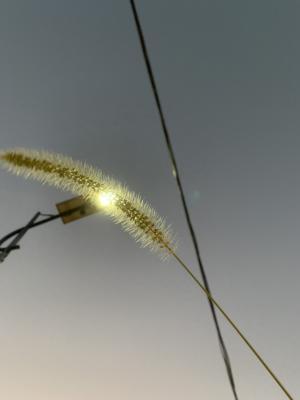 呼吸