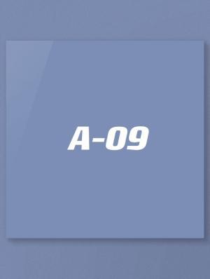 A-09作品封面