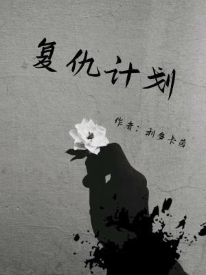 复仇计划