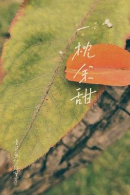 没有拉子能逃过小作文