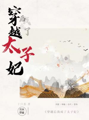 穿越后我成了太子妃