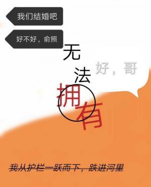 无法拥有的你作品封面