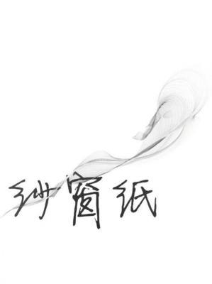 纱窗纸