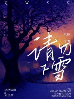 请匆下雪作品封面