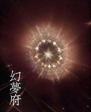 幻梦府作品封面