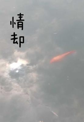 情却
