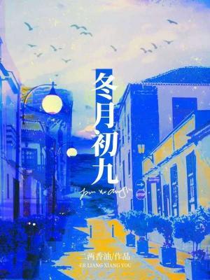 冬月初九作品封面