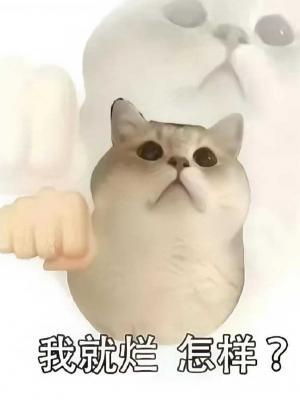 摆烂猫1在线喵嗷作品封面