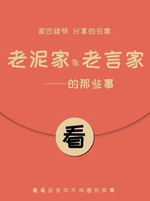 老泥家和老言家那些事作品封面