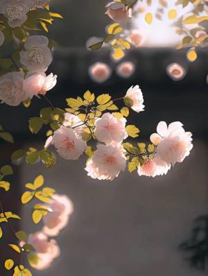 辞旧意凉归