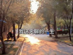 我这无聊的一生作品封面