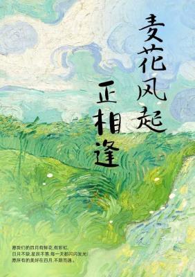 麦花风起正相逢作品封面