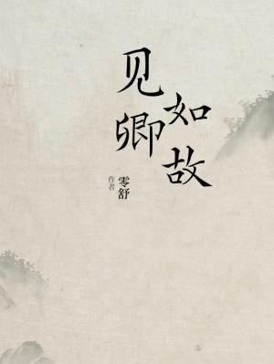 见卿如故