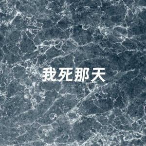我死那天