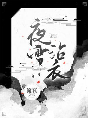 夜雪沾衣