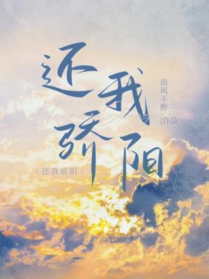 还我骄阳作品封面