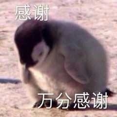 念