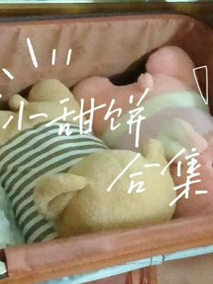 小甜饼合集