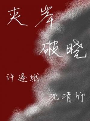 夹岸破晓作品封面