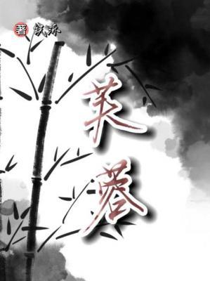 芙蓉