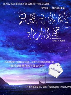 只属于我的北极星作品封面