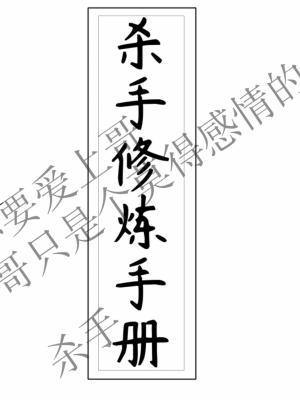 杀手修炼手册作品封面