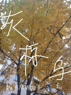 灰椋鸟