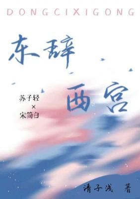 东辞西宫作品封面