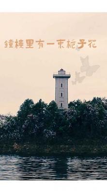 钟楼里有一束栀子花
