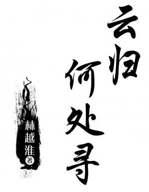 云归何处寻