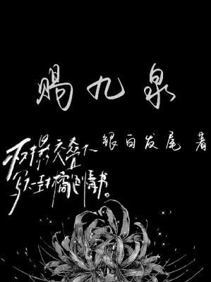 赐九泉作品封面