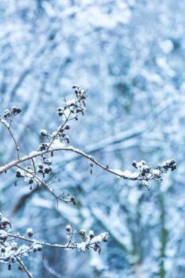 枝头雪