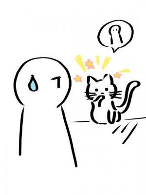 遇到一只“猫”