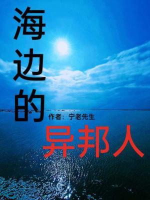 海边的异邦人作品封面