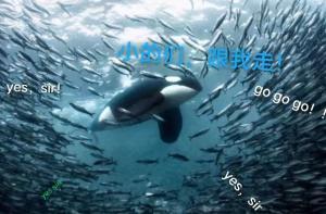 他从海下来