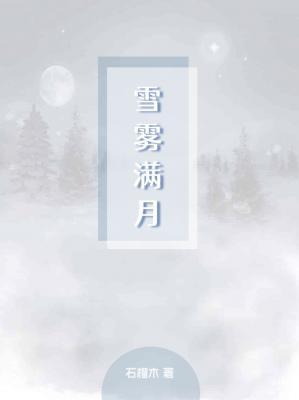 雪雾满月作品封面