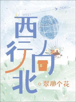 西行向北作品封面