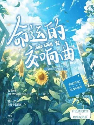 命运的交响曲作品封面