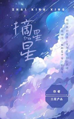 摘星星作品封面