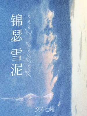 锦瑟雪泥