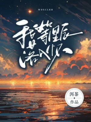 我等星辰落入怀作品封面