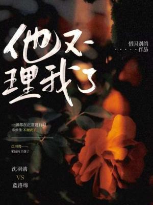 他不理我了作品封面