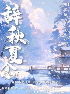 辞秋夏念作品封面