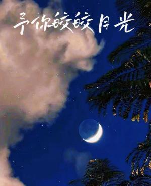 予你皎皎月光