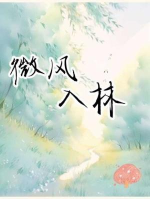 微风入林作品封面